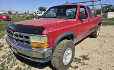Dodge-dakota-4x4-1992-6
