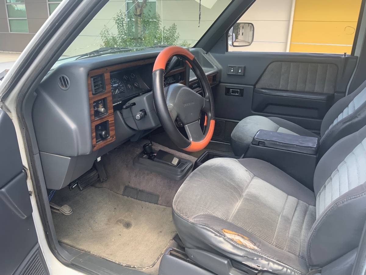 Dodge-dakota-4x4-1993-white-12