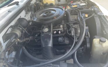 Dodge-dakota-4x4-1993-white-18