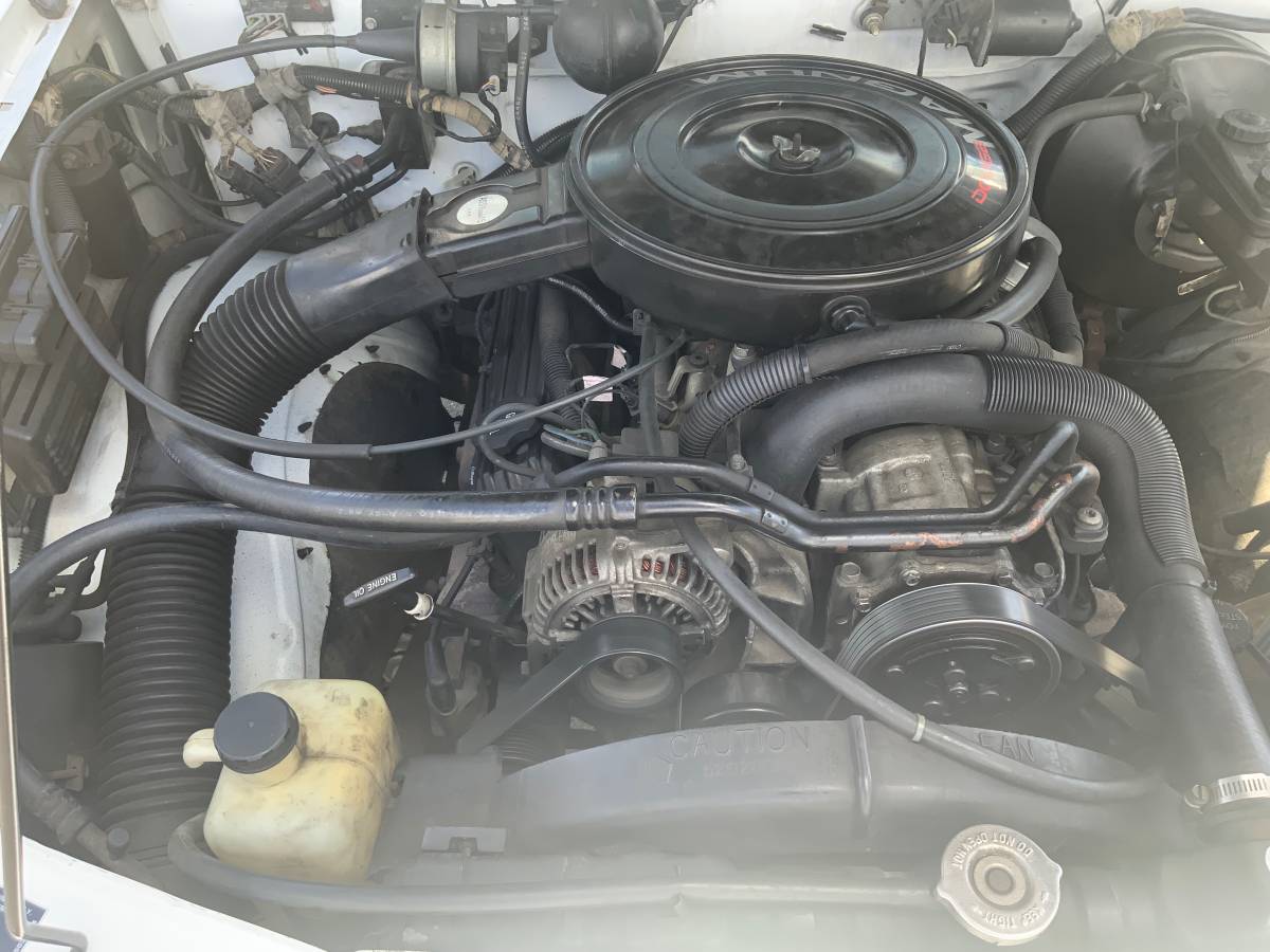 Dodge-dakota-4x4-1993-white-19