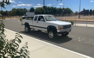 Dodge-dakota-4x4-1993-white-3