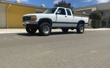 Dodge-dakota-4x4-1993-white-4