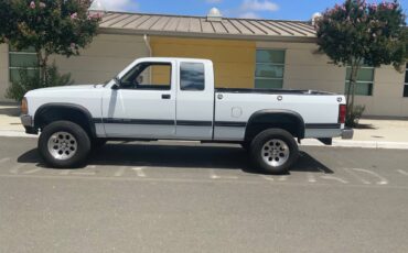 Dodge-dakota-4x4-1993-white-6