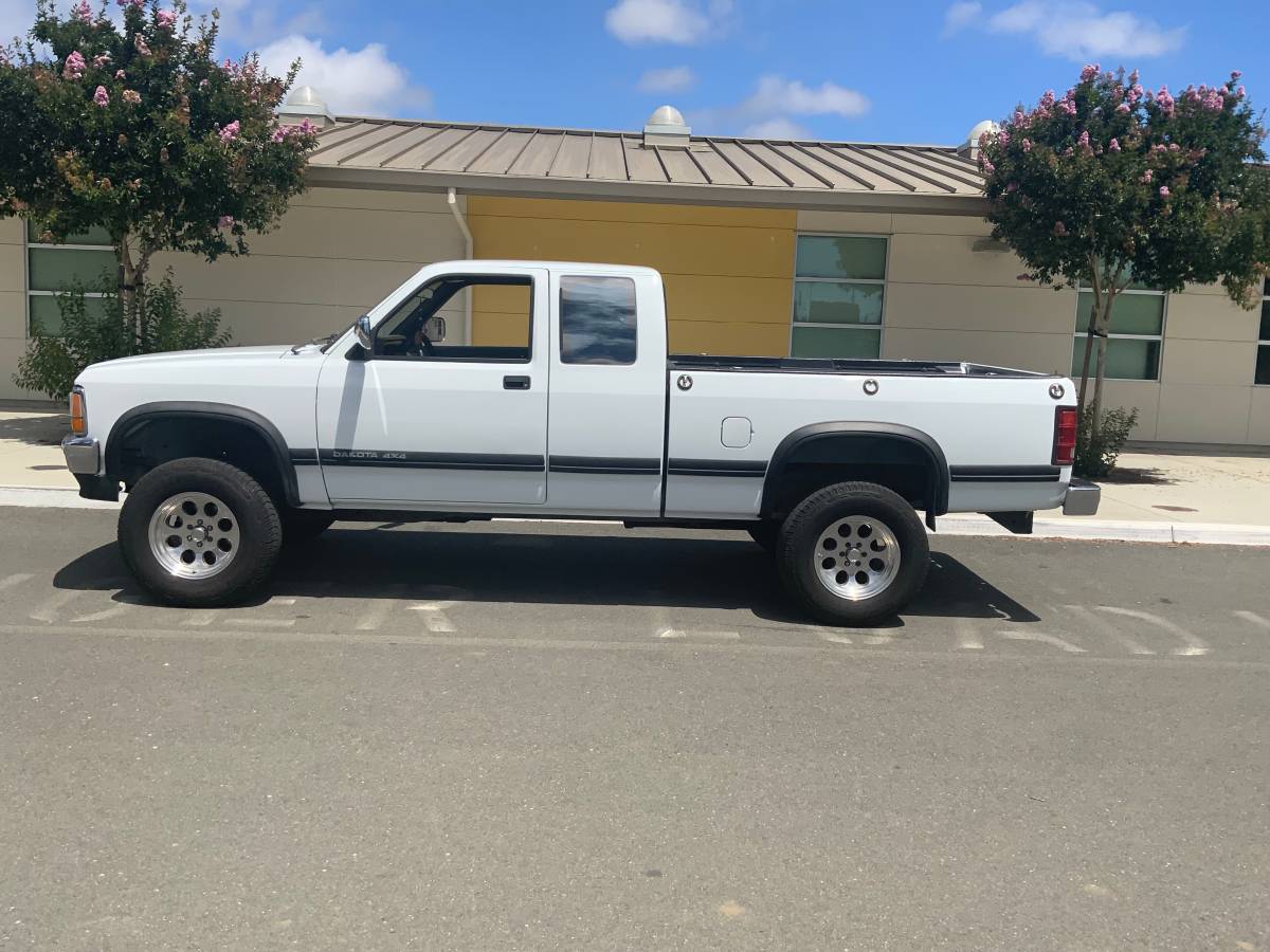 Dodge-dakota-4x4-1993-white-6