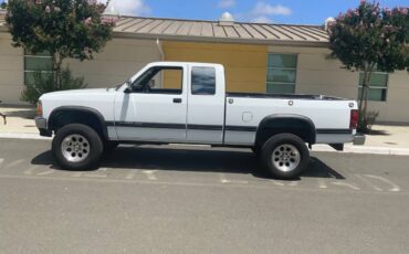 Dodge-dakota-4x4-1993-white-7