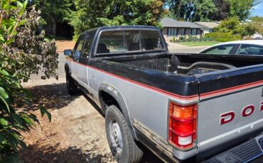 Dodge-dakota-4x4-extended-cab-1991-black-3