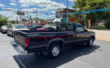 Dodge-dakota-rwd-1991-1