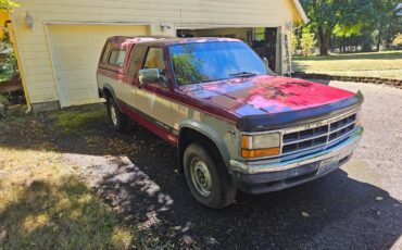 Dodge-dakota-slt-4x4-1994-red-11