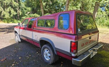 Dodge-dakota-slt-4x4-1994-red-3