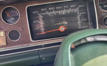 Dodge-dart-sport-1973-green-11