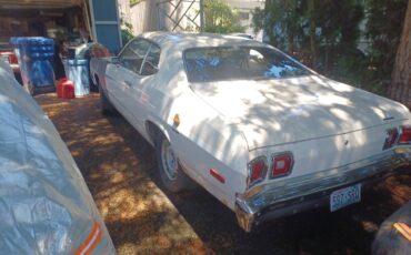 Dodge-dart-sport-spirit-of-76-1976-white-10