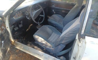 Dodge-dart-sport-spirit-of-76-1976-white-6
