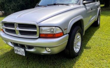 Dodge-durango-1991-grey-2