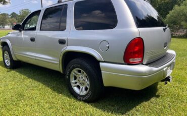Dodge-durango-1991-grey-6