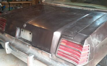 Dodge-magnum-1978-3