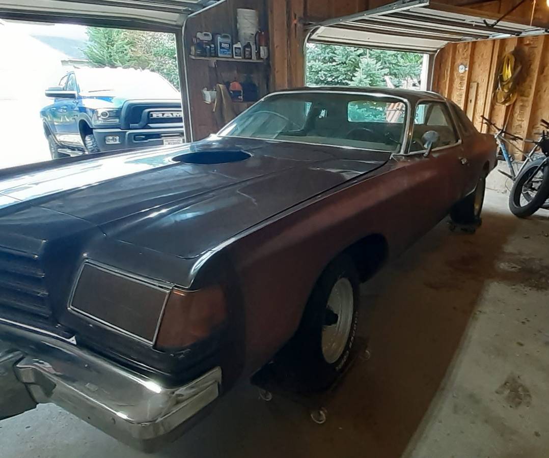 Dodge-magnum-1978-7