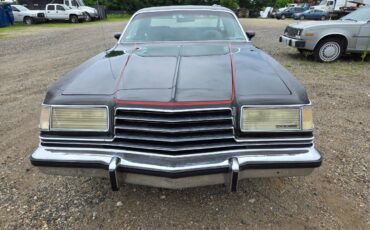Dodge-magnum-1978-black-20
