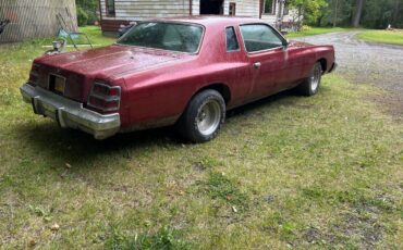 Dodge-magnum-1979-custom-2