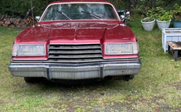 Dodge-magnum-1979-custom-3