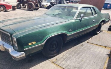 Dodge-monaco-1978-green-1