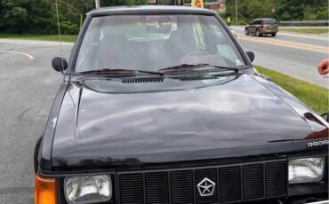 Dodge-omni-1988-black-2