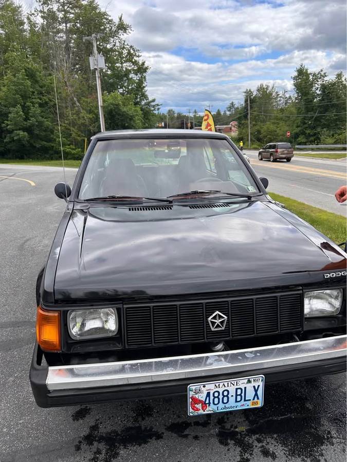 Dodge-omni-1988-black-2