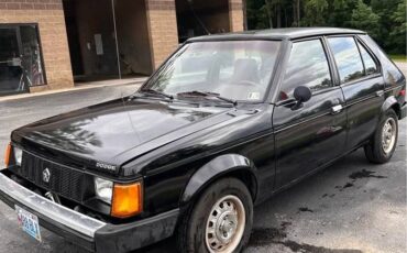 Dodge-omni-1988-black