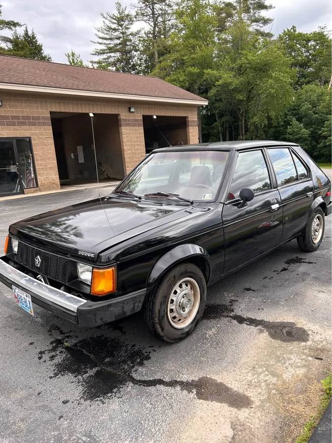 Dodge-omni-1988-black