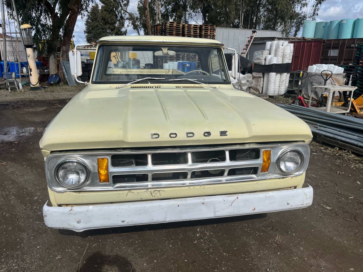 Dodge-pickup-1968-yellow-5