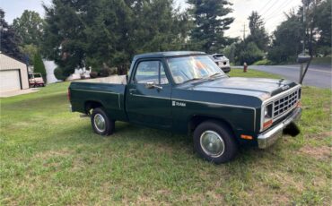 Dodge-pickup-1982-green-1