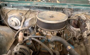 Dodge-power-wagon-200-1974-green-11
