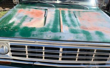 Dodge-power-wagon-200-1974-green-7