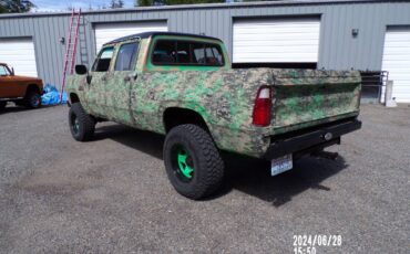 Dodge-power-wagon-diesel-1977-green-3