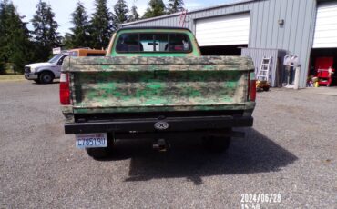 Dodge-power-wagon-diesel-1977-green-4