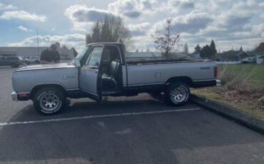 Dodge-prospector-1984-grey-2