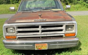 Dodge-ram-100-1989-brown-2