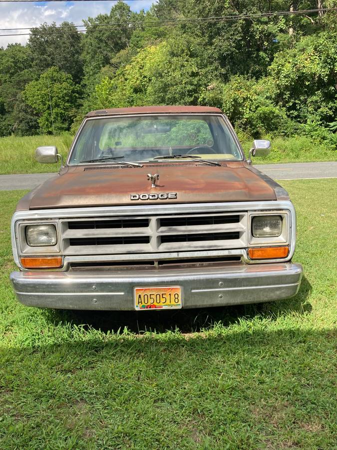 Dodge-ram-100-1989-brown-2