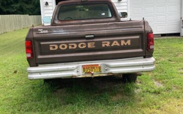 Dodge-ram-100-1989-brown-3