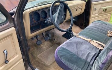 Dodge-ram-100-1989-brown-6