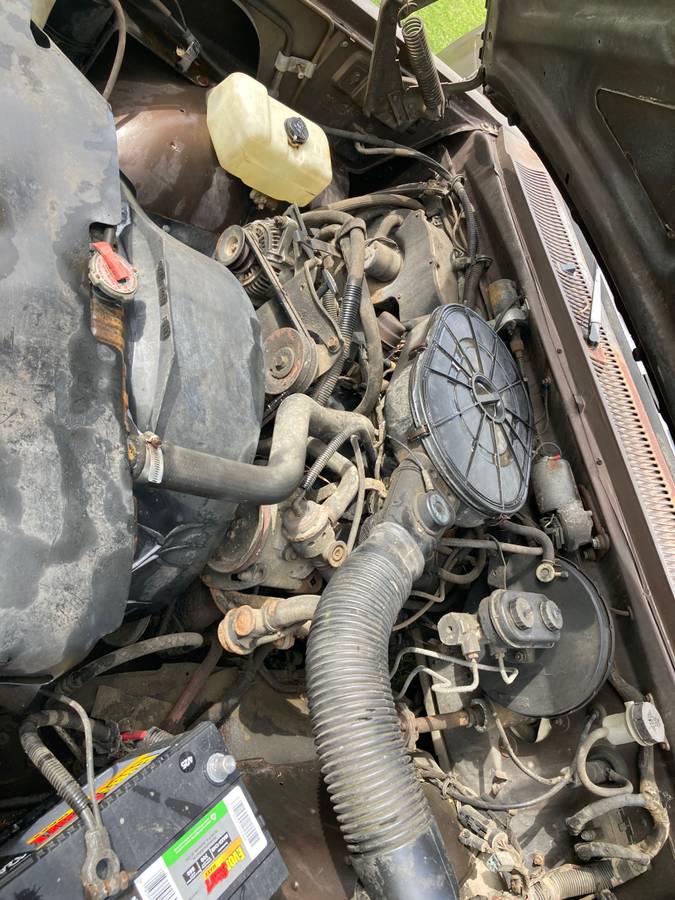 Dodge-ram-100-1989-brown-8