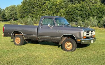 Dodge-ram-1500-1989-grey