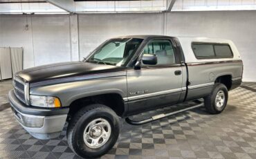 Dodge-ram-1500-base-1995-1
