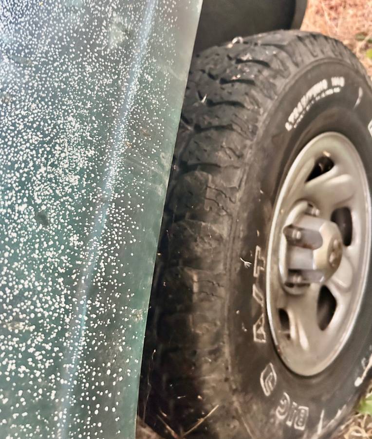 Dodge-ram-1500-laramie-1995-green-17