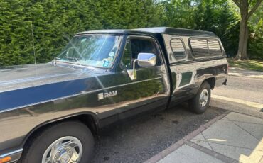 Dodge-ram-250-1984-grey-10
