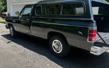 Dodge-ram-250-1984-grey-18