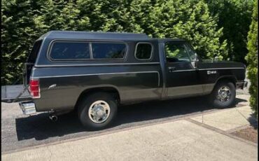 Dodge-ram-250-1984-grey-2