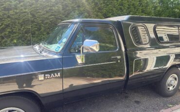 Dodge-ram-250-1984-grey-8