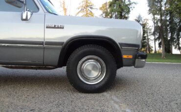 Dodge-ram-250-le-2dr-turbodiese-diesel-1993-silver-6