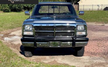 Dodge-ram-250-le-2drstandard-diesel-1991-7