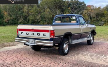 Dodge-ram-250-le-2drstandard-diesel-1992-27